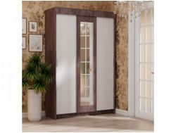 Шкаф-купе Мираж 11